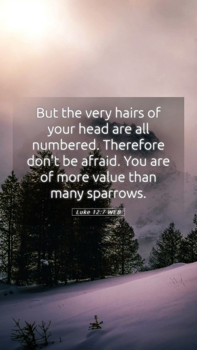 Picture 05 - Luke 12:7 WEB Mobile Phone Wallpaper - But the very hairs of your head are all numbered. - Mobile Bible Verse Wallpaper