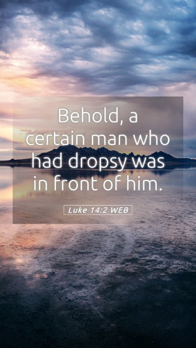 Picture 05 - Luke 14:2 WEB Mobile Phone Wallpaper - Behold, a certain man who had dropsy was in front - Mobile Bible Verse Wallpaper