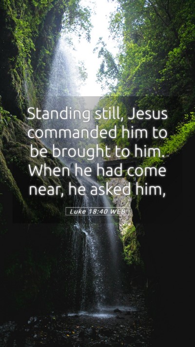Picture 05 - Luke 18:40 WEB Mobile Phone Wallpaper - Standing still, Jesus commanded him to be brought - Mobile Bible Verse Wallpaper