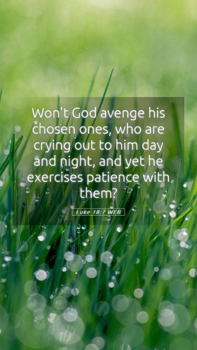 Picture 05 - Luke 18:7 WEB Mobile Phone Wallpaper - Won't God avenge his chosen ones, who are crying - Mobile Bible Verse Wallpaper