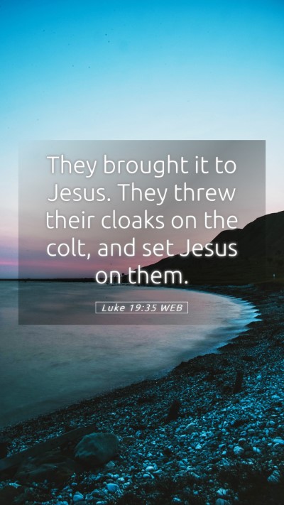 Picture 05 - Luke 19:35 WEB Mobile Phone Wallpaper - They brought it to Jesus. They threw their cloaks - Mobile Bible Verse Wallpaper