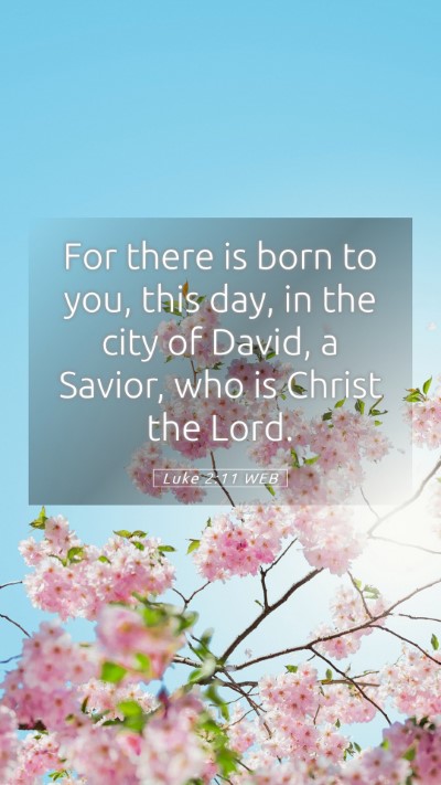 Picture 05 - Luke 2:11 WEB Mobile Phone Wallpaper - For there is born to you, this day, in the city - Mobile Bible Verse Wallpaper