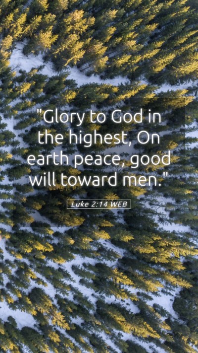 Picture 05 - Luke 2:14 WEB Mobile Phone Wallpaper - 
