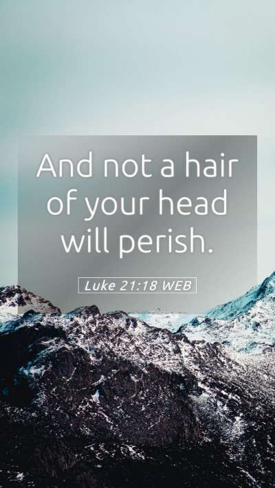 Picture 05 - Luke 21:18 WEB Mobile Phone Wallpaper - And not a hair of your head will - Mobile Bible Verse Wallpaper