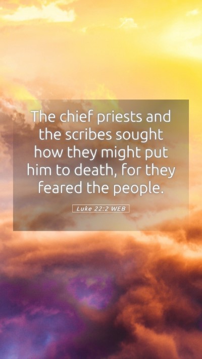 Picture 05 - Luke 22:2 WEB Mobile Phone Wallpaper - The chief priests and the scribes sought how they - Mobile Bible Verse Wallpaper