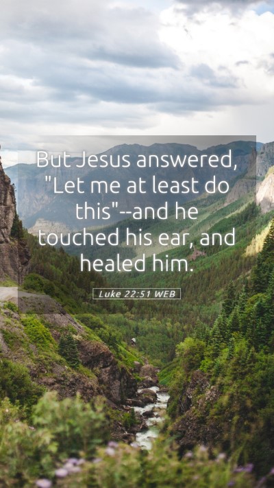 Picture 05 - Luke 22:51 WEB Mobile Phone Wallpaper - But Jesus answered, 