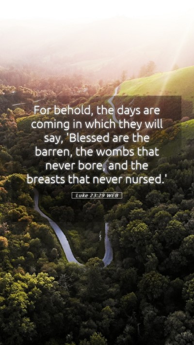 Picture 05 - Luke 23:29 WEB Mobile Phone Wallpaper - For behold, the days are coming in which they - Mobile Bible Verse Wallpaper