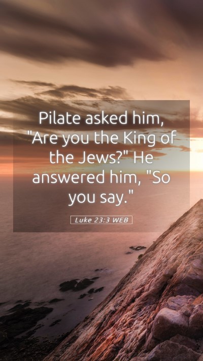 Picture 05 - Luke 23:3 WEB Mobile Phone Wallpaper - Pilate asked him, 