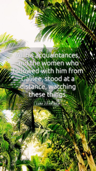 Picture 05 - Luke 23:49 WEB Mobile Phone Wallpaper - All his acquaintances, and the women who followed - Mobile Bible Verse Wallpaper