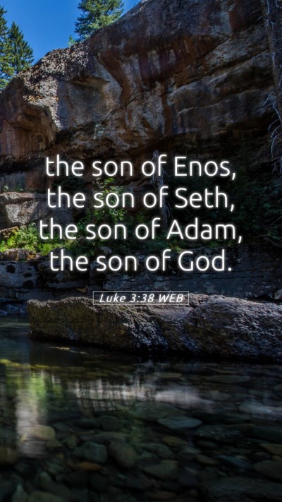 Picture 05 - Luke 3:38 WEB Mobile Phone Wallpaper - the son of Enos, the son of Seth, the son of - Mobile Bible Verse Wallpaper