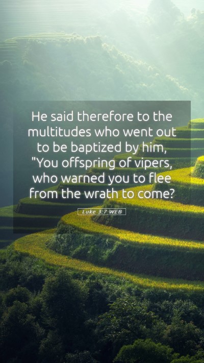 Picture 05 - Luke 3:7 WEB Mobile Phone Wallpaper - He said therefore to the multitudes who went out - Mobile Bible Verse Wallpaper