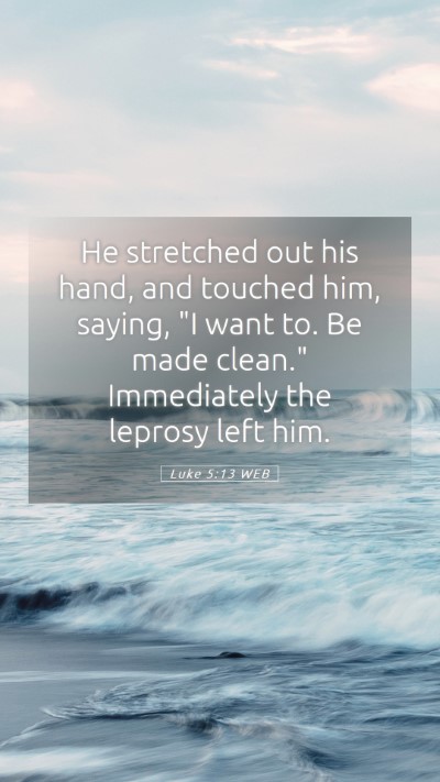 Picture 05 - Luke 5:13 WEB Mobile Phone Wallpaper - He stretched out his hand, and touched him, - Mobile Bible Verse Wallpaper