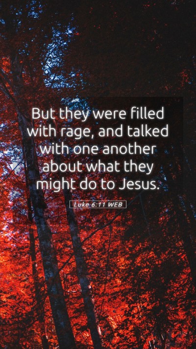 Picture 05 - Luke 6:11 WEB Mobile Phone Wallpaper - But they were filled with rage, and talked with - Mobile Bible Verse Wallpaper