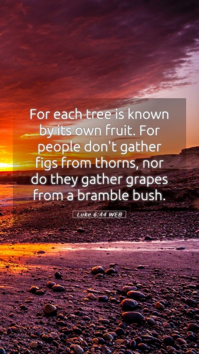 Picture 05 - Luke 6:44 WEB Mobile Phone Wallpaper - For each tree is known by its own fruit. For - Mobile Bible Verse Wallpaper