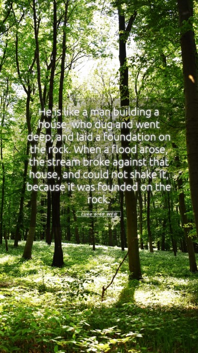 Picture 05 - Luke 6:48 WEB Mobile Phone Wallpaper - He is like a man building a house, who dug and - Mobile Bible Verse Wallpaper