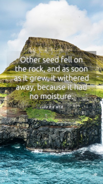 Picture 05 - Luke 8:6 WEB Mobile Phone Wallpaper - Other seed fell on the rock, and as soon as it - Mobile Bible Verse Wallpaper