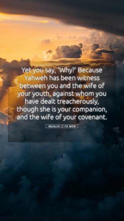 Picture 05 - Malachi 2:14 WEB Mobile Phone Wallpaper - Yet you say, 'Why?' Because Yahweh has been - Mobile Bible Verse Wallpaper