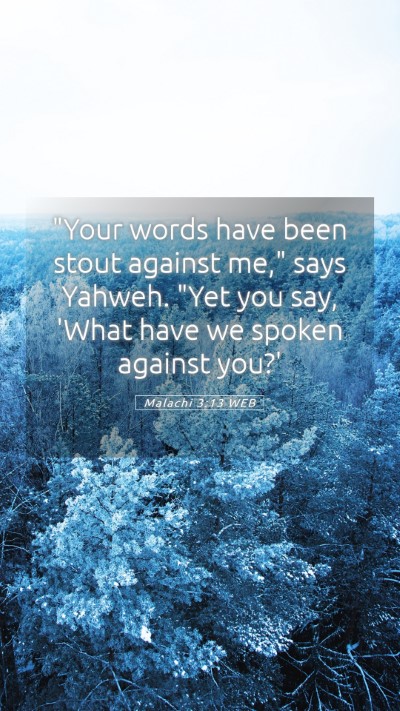 Picture 05 - Malachi 3:13 WEB Mobile Phone Wallpaper - 