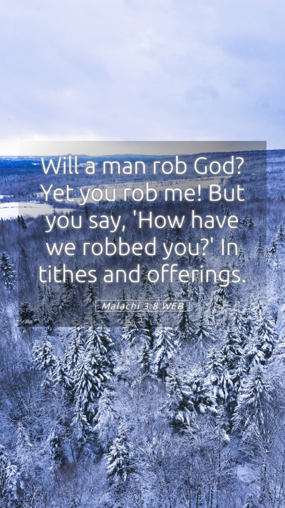 Picture 05 - Malachi 3:8 WEB Mobile Phone Wallpaper - Will a man rob God? Yet you rob me! But you say, - Mobile Bible Verse Wallpaper