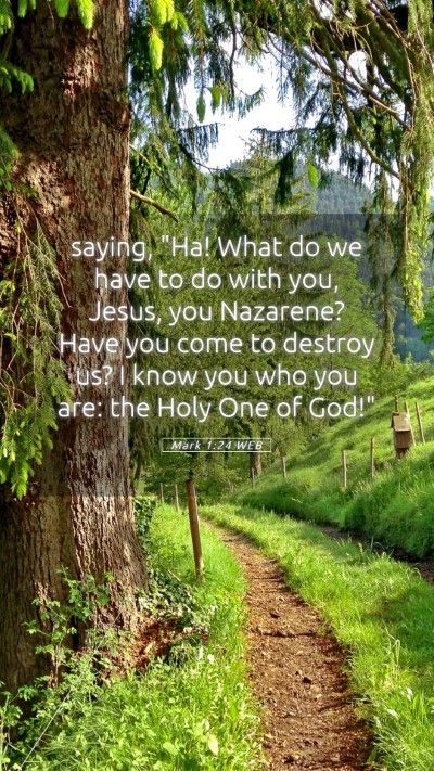 Picture 05 - Mark 1:24 WEB Mobile Phone Wallpaper - saying, 