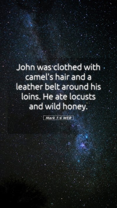 Picture 05 - Mark 1:6 WEB Mobile Phone Wallpaper - John was clothed with camel's hair and a leather - Mobile Bible Verse Wallpaper