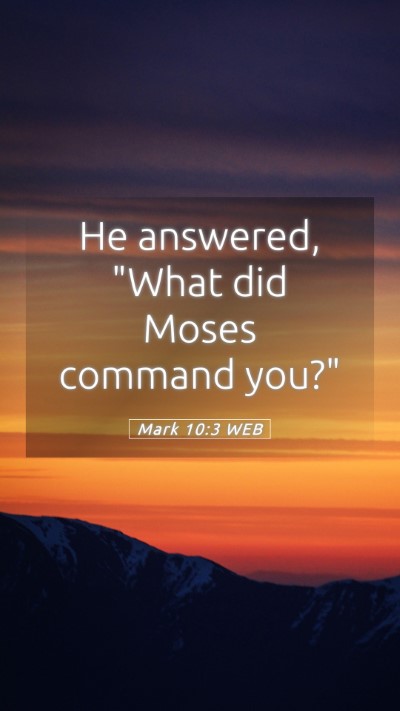 Picture 05 - Mark 10:3 WEB Mobile Phone Wallpaper - He answered, 