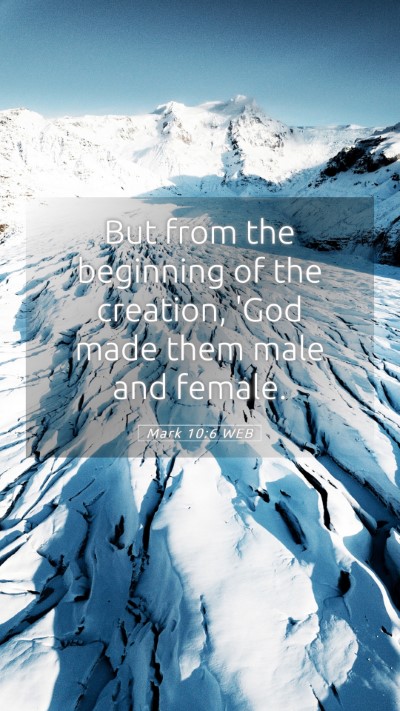 Picture 05 - Mark 10:6 WEB Mobile Phone Wallpaper - But from the beginning of the creation, 'God made - Mobile Bible Verse Wallpaper