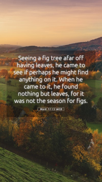 Picture 05 - Mark 11:13 WEB Mobile Phone Wallpaper - Seeing a fig tree afar off having leaves, he came - Mobile Bible Verse Wallpaper