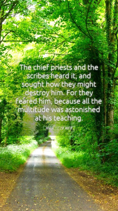 Picture 05 - Mark 11:18 WEB Mobile Phone Wallpaper - The chief priests and the scribes heard it, and - Mobile Bible Verse Wallpaper