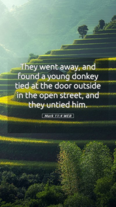 Picture 05 - Mark 11:4 WEB Mobile Phone Wallpaper - They went away, and found a young donkey tied at - Mobile Bible Verse Wallpaper
