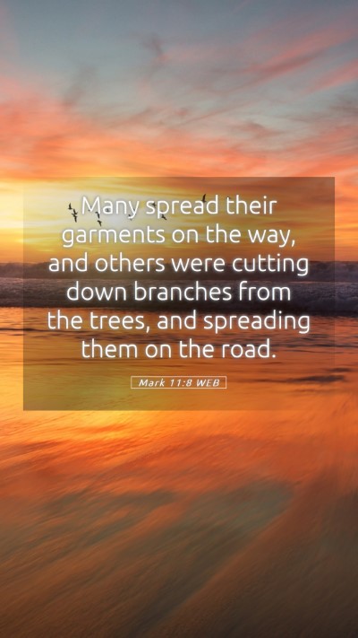 Picture 05 - Mark 11:8 WEB Mobile Phone Wallpaper - Many spread their garments on the way, and others - Mobile Bible Verse Wallpaper