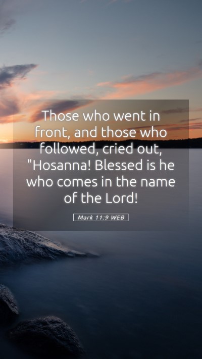 Picture 05 - Mark 11:9 WEB Mobile Phone Wallpaper - Those who went in front, and those who followed, - Mobile Bible Verse Wallpaper