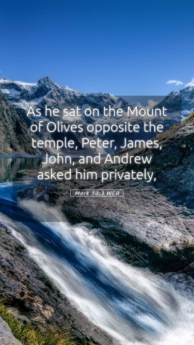Picture 05 - Mark 13:3 WEB Mobile Phone Wallpaper - As he sat on the Mount of Olives opposite the - Mobile Bible Verse Wallpaper