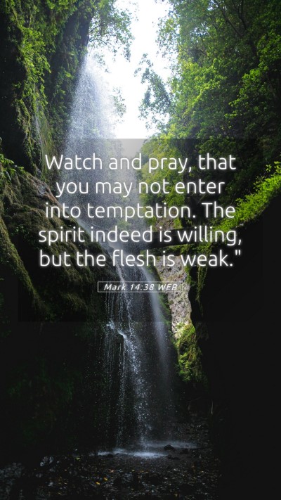Picture 05 - Mark 14:38 WEB Mobile Phone Wallpaper - Watch and pray, that you may not enter into - Mobile Bible Verse Wallpaper