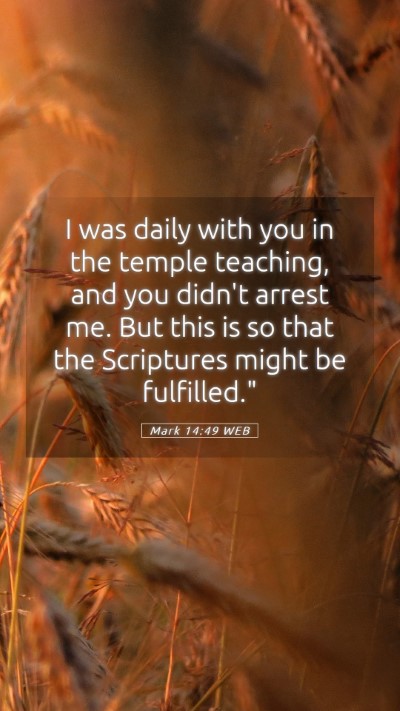 Picture 05 - Mark 14:49 WEB Mobile Phone Wallpaper - I was daily with you in the temple teaching, and - Mobile Bible Verse Wallpaper