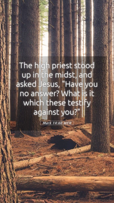 Picture 05 - Mark 14:60 WEB Mobile Phone Wallpaper - The high priest stood up in the midst, and asked - Mobile Bible Verse Wallpaper