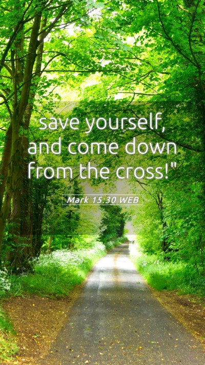 Picture 05 - Mark 15:30 WEB Mobile Phone Wallpaper - save yourself, and come down from the - Mobile Bible Verse Wallpaper