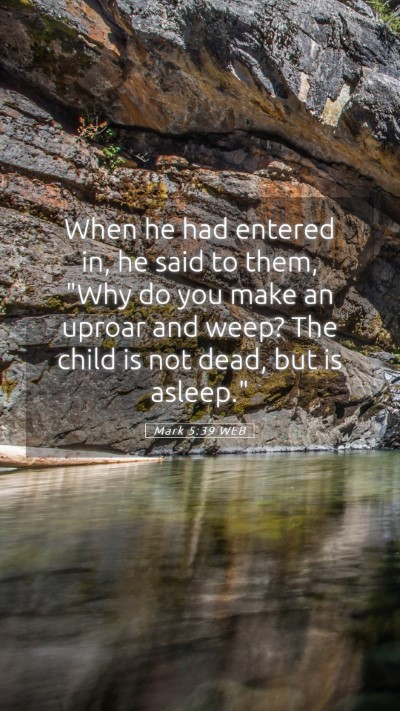 Picture 05 - Mark 5:39 WEB Mobile Phone Wallpaper - When he had entered in, he said to them, 