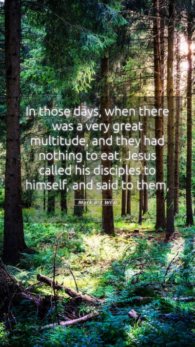 Picture 05 - Mark 8:1 WEB Mobile Phone Wallpaper - In those days, when there was a very great - Mobile Bible Verse Wallpaper
