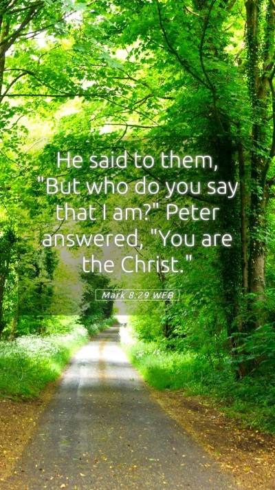 Picture 05 - Mark 8:29 WEB Mobile Phone Wallpaper - He said to them, 