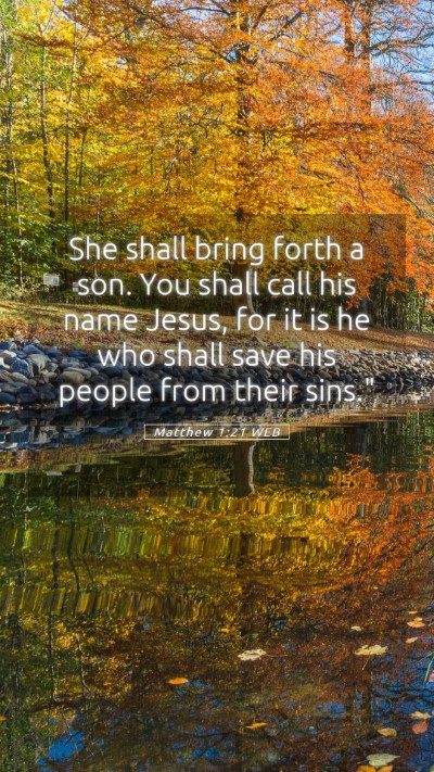 Picture 05 - Matthew 1:21 WEB Mobile Phone Wallpaper - She shall bring forth a son. You shall call his - Mobile Bible Verse Wallpaper