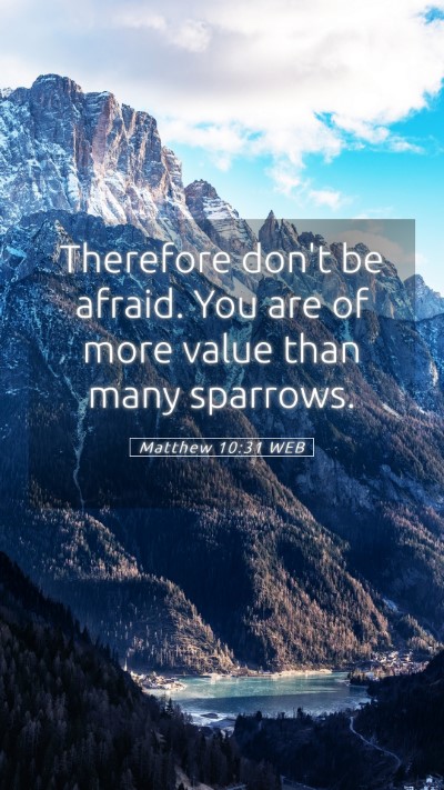 Picture 05 - Matthew 10:31 WEB Mobile Phone Wallpaper - Therefore don't be afraid. You are of more value - Mobile Bible Verse Wallpaper