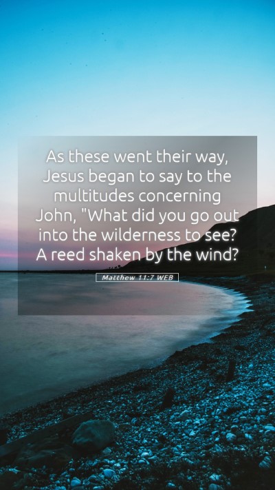 Picture 05 - Matthew 11:7 WEB Mobile Phone Wallpaper - As these went their way, Jesus began to say to - Mobile Bible Verse Wallpaper