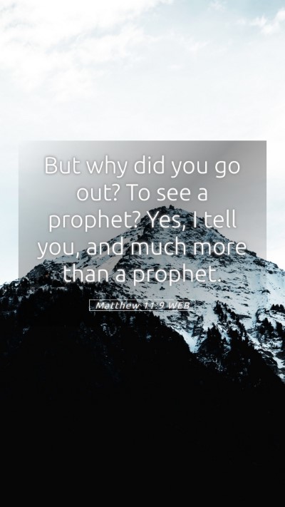 Picture 05 - Matthew 11:9 WEB Mobile Phone Wallpaper - But why did you go out? To see a prophet? Yes, I - Mobile Bible Verse Wallpaper