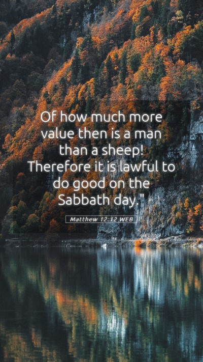Picture 05 - Matthew 12:12 WEB Mobile Phone Wallpaper - Of how much more value then is a man than a - Mobile Bible Verse Wallpaper