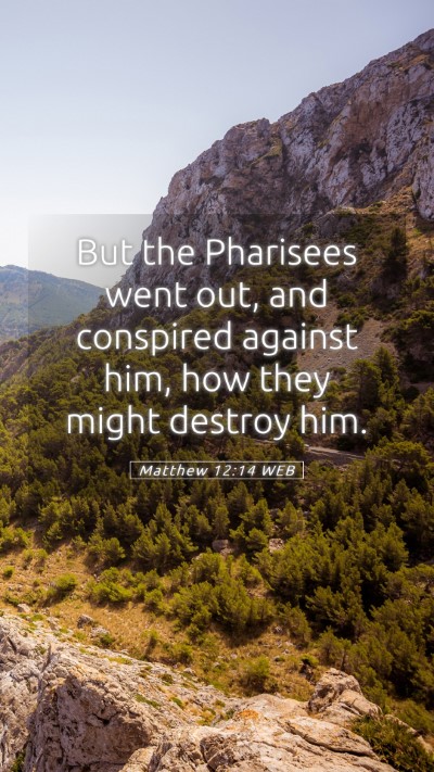Picture 05 - Matthew 12:14 WEB Mobile Phone Wallpaper - But the Pharisees went out, and conspired against - Mobile Bible Verse Wallpaper