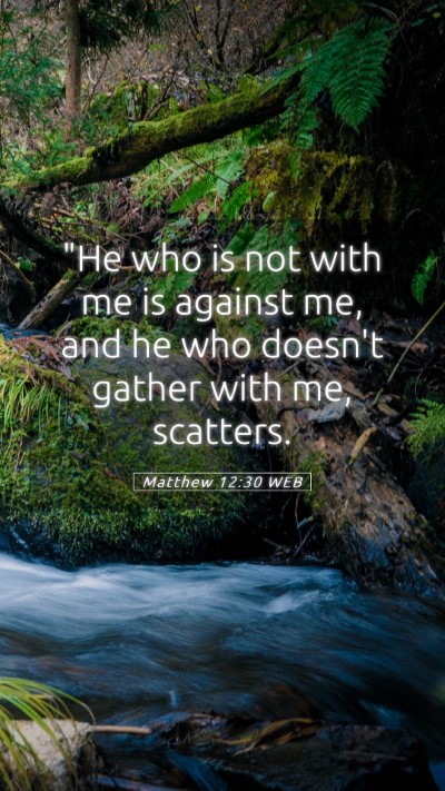 Picture 05 - Matthew 12:30 WEB Mobile Phone Wallpaper - 
