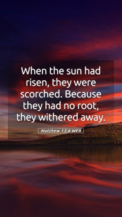 Picture 05 - Matthew 13:6 WEB Mobile Phone Wallpaper - When the sun had risen, they were scorched. - Mobile Bible Verse Wallpaper