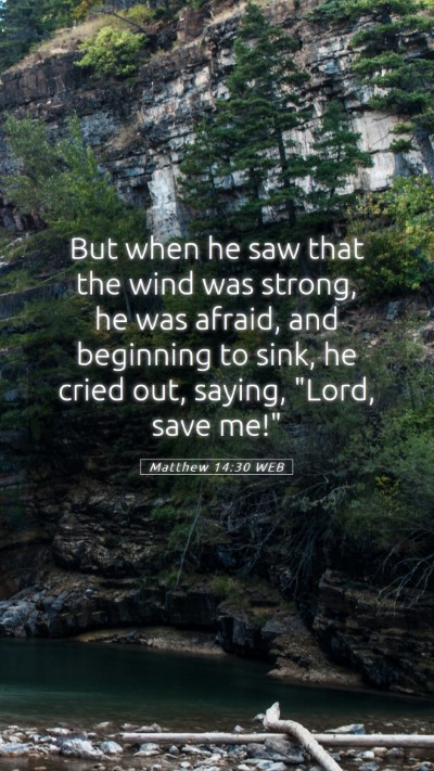 Picture 05 - Matthew 14:30 WEB Mobile Phone Wallpaper - But when he saw that the wind was strong, he was - Mobile Bible Verse Wallpaper
