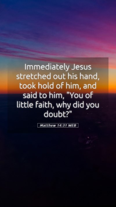 Picture 05 - Matthew 14:31 WEB Mobile Phone Wallpaper - Immediately Jesus stretched out his hand, took - Mobile Bible Verse Wallpaper